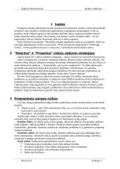 Rizikos valdymas 2 puslapis