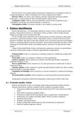 Rizikos valdymas 3 puslapis