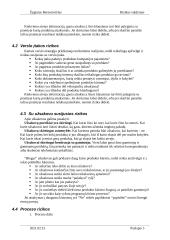 Rizikos valdymas 4 puslapis