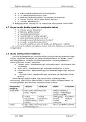 Rizikos valdymas 6 puslapis