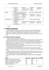 Rizikos valdymas 7 puslapis