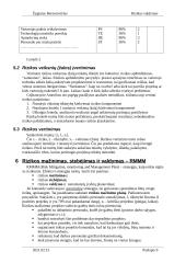 Rizikos valdymas 8 puslapis