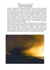 Stichinės nelaimės 2 puslapis