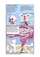 Stichinės nelaimės 3 puslapis