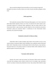 Transporto priemonių nuomos teikiant vairavimo ir techninės priežiūros paslaugas sutartis 11 puslapis