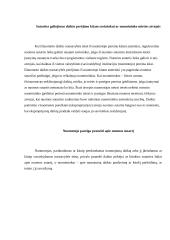 Transporto priemonių nuomos teikiant vairavimo ir techninės priežiūros paslaugas sutartis 8 puslapis