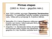 1863 – 1864 metų sukilimas, jo eiga 14 puslapis