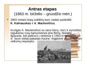 1863 – 1864 metų sukilimas, jo eiga 16 puslapis