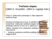 1863 – 1864 metų sukilimas, jo eiga 17 puslapis