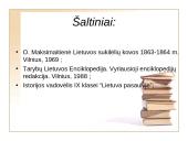 1863 – 1864 metų sukilimas, jo eiga 20 puslapis