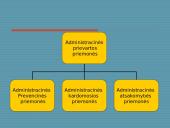 Administracinė prievarta 4 puslapis