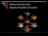 Administracinės atsakomybės samprata 2 puslapis