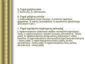 Administracinės teisės normos 7 puslapis