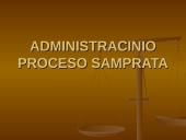 Administracinis procesas ir administracinė jurisdikcija 3 puslapis