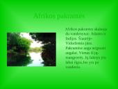 Afrika. Afrikos vandenys 15 puslapis