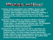 Afrikos tropinis miškas 11 puslapis