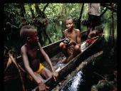 Afrikos tropinis miškas 13 puslapis