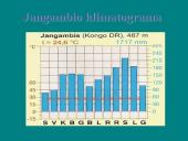 Afrikos tropinis miškas 15 puslapis