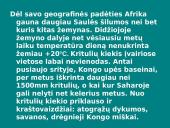 Afrikos tropinis miškas 3 puslapis