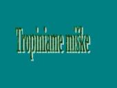 Afrikos tropinis miškas 4 puslapis