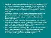 Afrikos tropinis miškas 9 puslapis