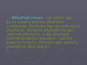 Alkoholizmas kaip lėtinė liga 2 puslapis