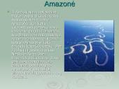 Amazonė ir Amazonija 11 puslapis