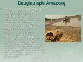 Amazonė ir Amazonija 12 puslapis