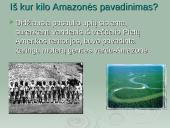 Amazonė ir Amazonija 13 puslapis