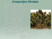 Amazonė ir Amazonija 4 puslapis
