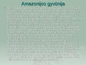 Amazonė ir Amazonija 5 puslapis
