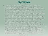 Amazonė ir Amazonija 9 puslapis