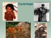 Amazonė ir Amazonija 10 puslapis