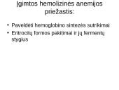 Anemijos būsena 19 puslapis