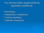 Angliavandenių apykaitos sutrikimai 2 puslapis