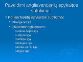 Angliavandenių apykaitos sutrikimai 11 puslapis