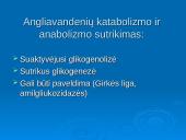 Angliavandenių apykaitos sutrikimai 4 puslapis