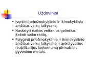 Ankstyvojo ir ikimokyklinio amžiaus vaikų psichomotorinės raidos rizikos veiksniai 5 puslapis