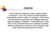 Ankstyvojo ir ikimokyklinio amžiaus vaikų psichomotorinės raidos rizikos veiksniai 7 puslapis