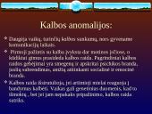 Anomalios raidos samprata 8 puslapis