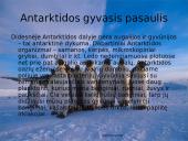 Antarktida 6 puslapis