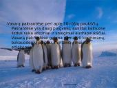 Antarktida 7 puslapis