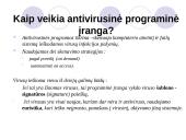 Antivirusinės programos 11 puslapis