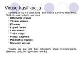 Antivirusinės programos 8 puslapis