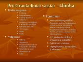 Apsinuodijimai psichotropiniais medikamentais 17 puslapis