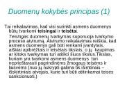 Asmens duomenų apsauga ir ją reglamentuojantys įstatymai 18 puslapis