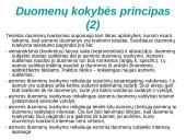 Asmens duomenų apsauga ir ją reglamentuojantys įstatymai 19 puslapis