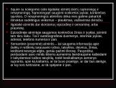 Atmintis ir viskas apie ją 11 puslapis