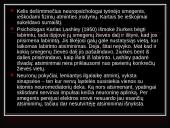 Atmintis ir viskas apie ją 13 puslapis