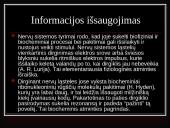 Atmintis ir viskas apie ją 15 puslapis